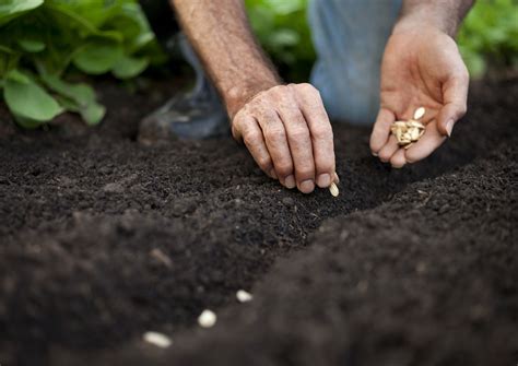 We Want This Hunky Gardener to Plant His Seed in Our Soil